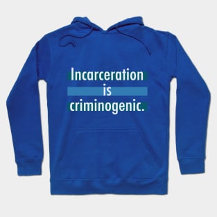 Incarceration is Criminogenic Hoodie